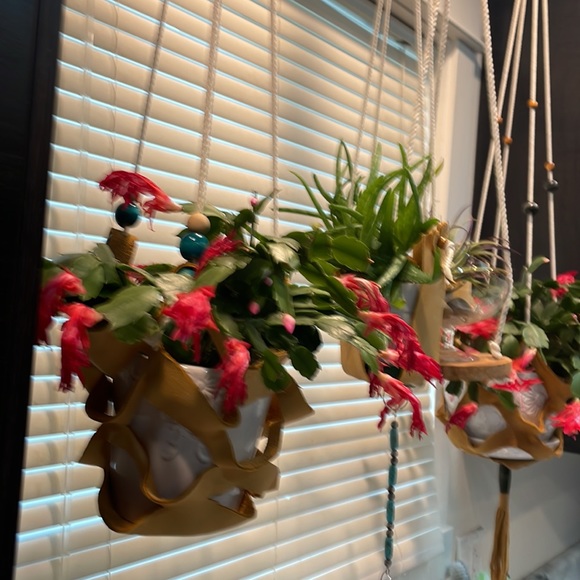 leather plant hangers Custom-made on Vancouver island. Holds 6 to 8 inch pot. - Picture 8 of 12